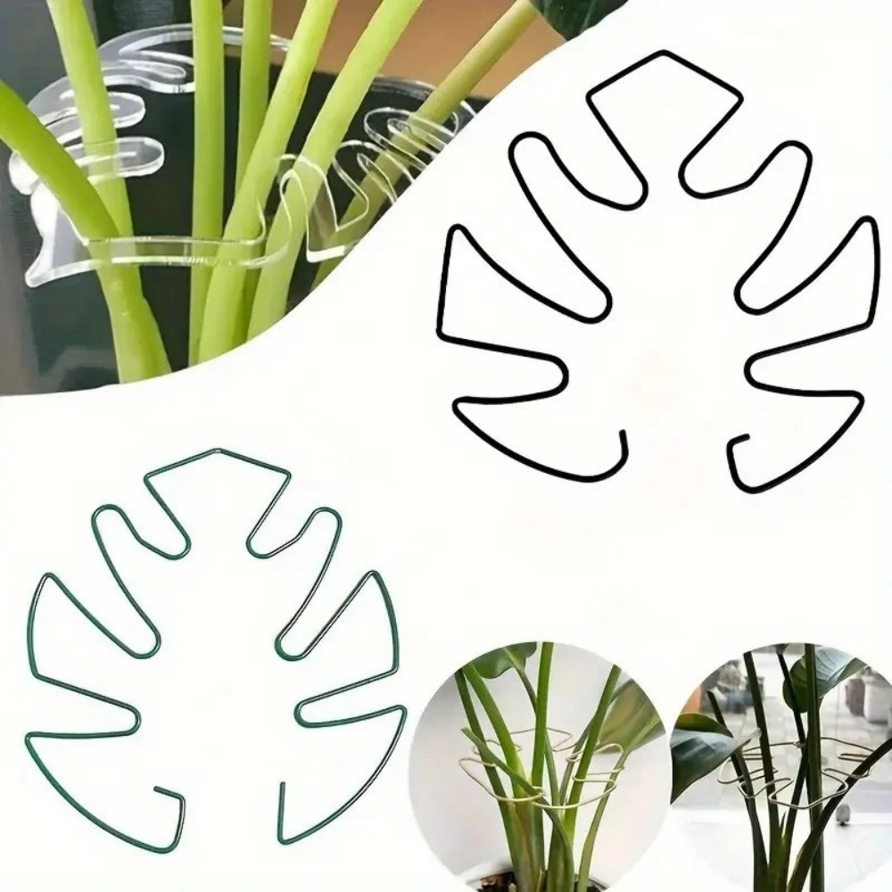 Variegated Monstera Node - 1 шт. Большая подставка для растений,
