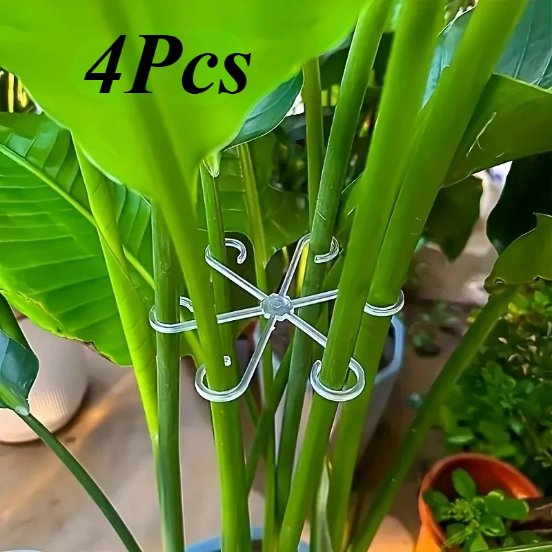 Variegated Monstera Node - Набор из 4-х зажимов для поддержки