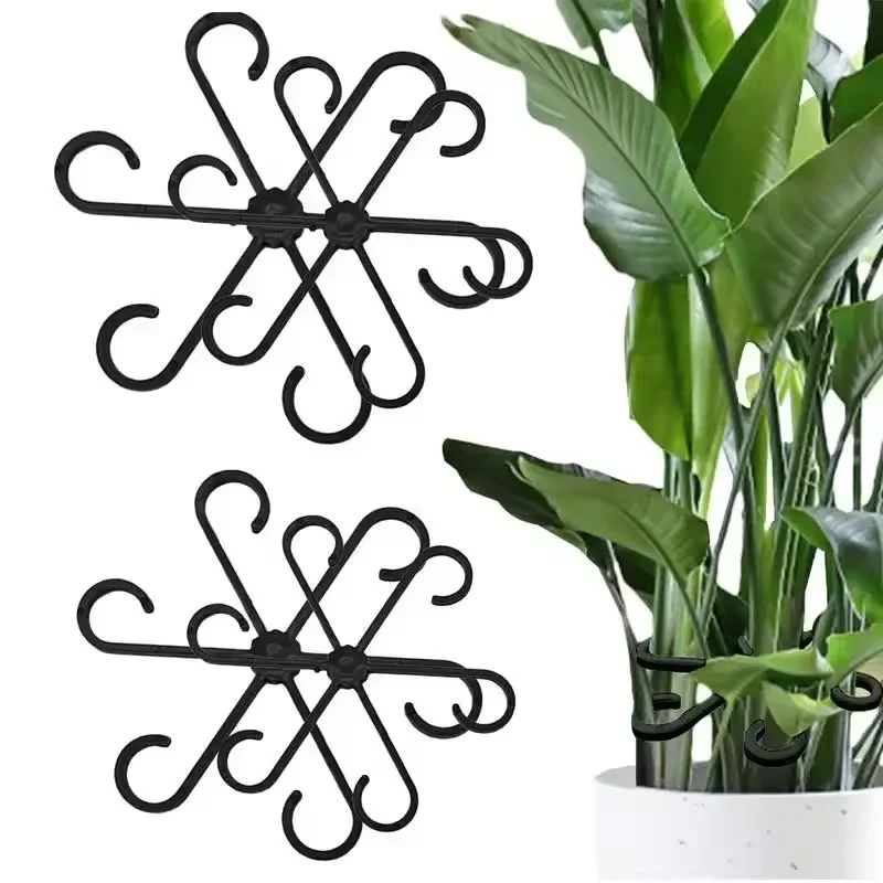 Опоры для листьев алоказии и м – обзор и цена Variegated Monstera Node