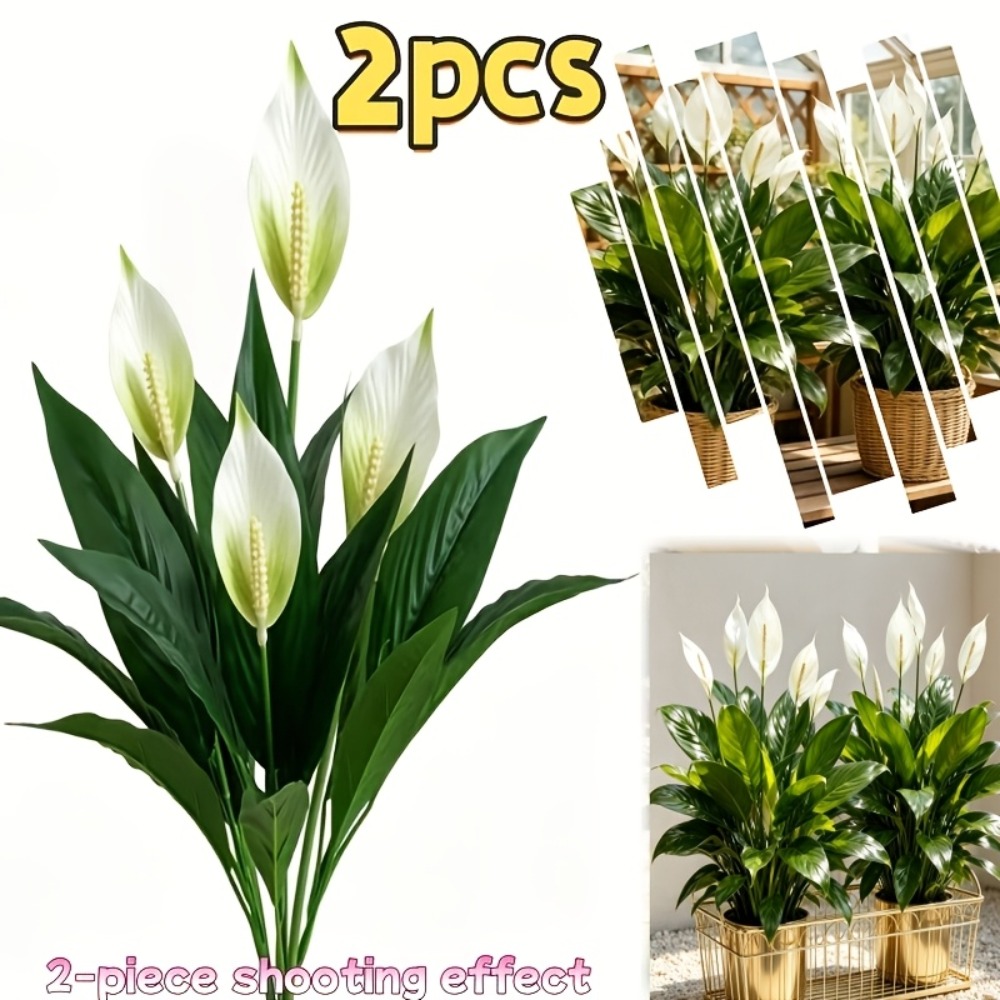 2 шт. высококачественное больш – обзор и цена Peace Lily White